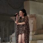Ditonellapiaga
